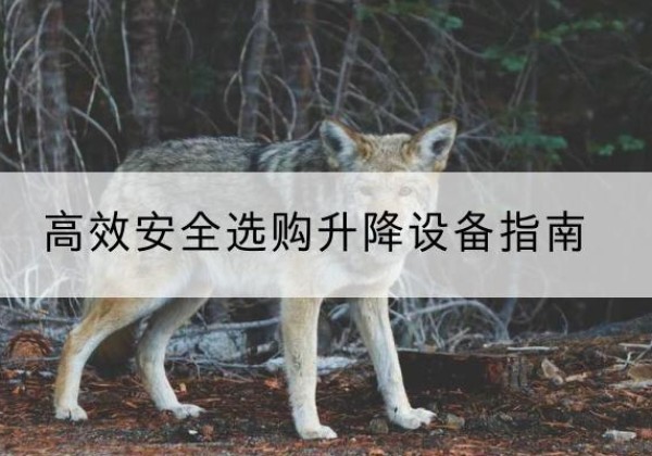 北票升降货梯厂家推荐-*安全选购升降设备指南
