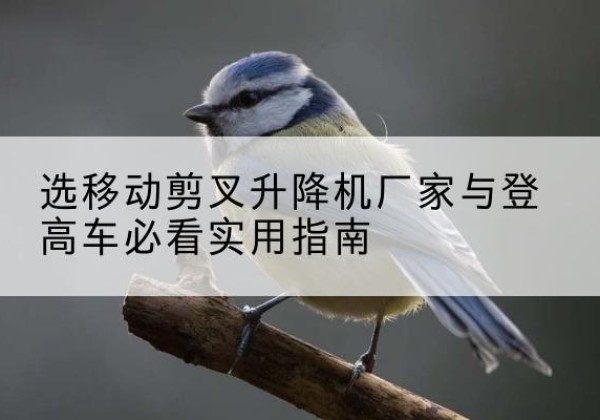 北票电动升降机厂家-选移动剪叉升降机厂家与登高车必看实用指南